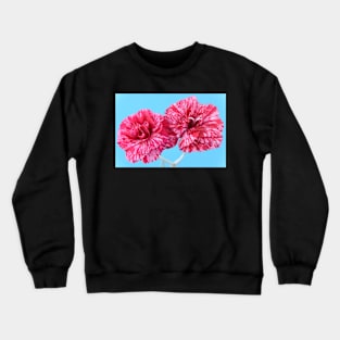 Dianthus  &#39;Cosmic Swirl Red&#39;  Pink Crewneck Sweatshirt